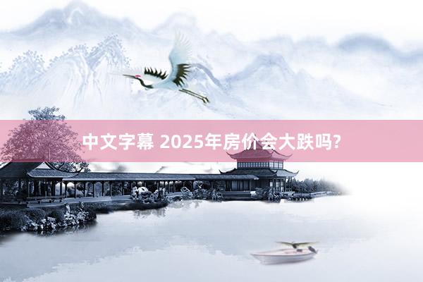中文字幕 2025年房价会大跌吗?
