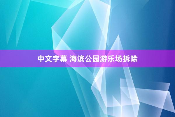 中文字幕 海滨公园游乐场拆除
