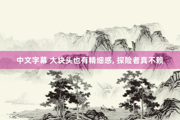 中文字幕 大块头也有精细感， 探险者真不赖