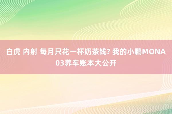 白虎 内射 每月只花一杯奶茶钱? 我的小鹏MONA03养车账本大公开