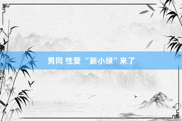 男同 性愛 “新小绿”来了