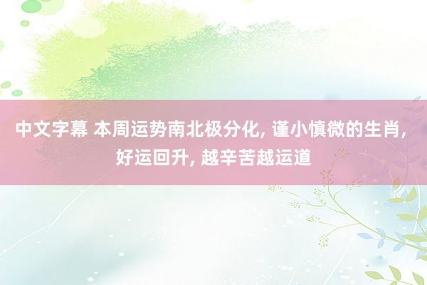 中文字幕 本周运势南北极分化， 谨小慎微的生肖， 好运回升， 越辛苦越运道